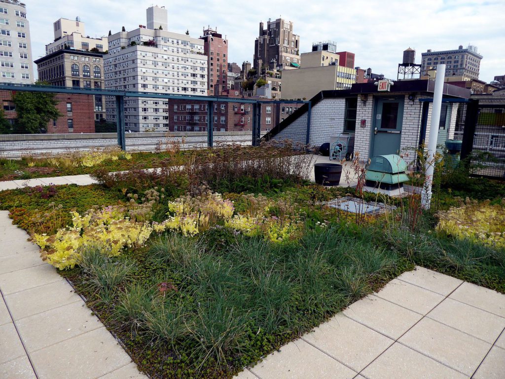 Vegetated Roofing Systems