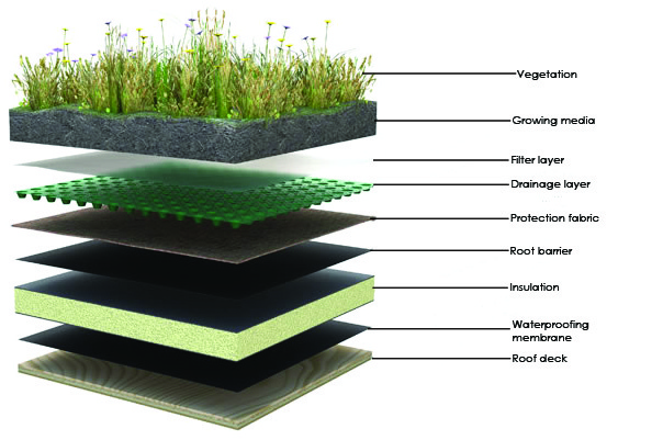 Vegetated Roofing Systems condor